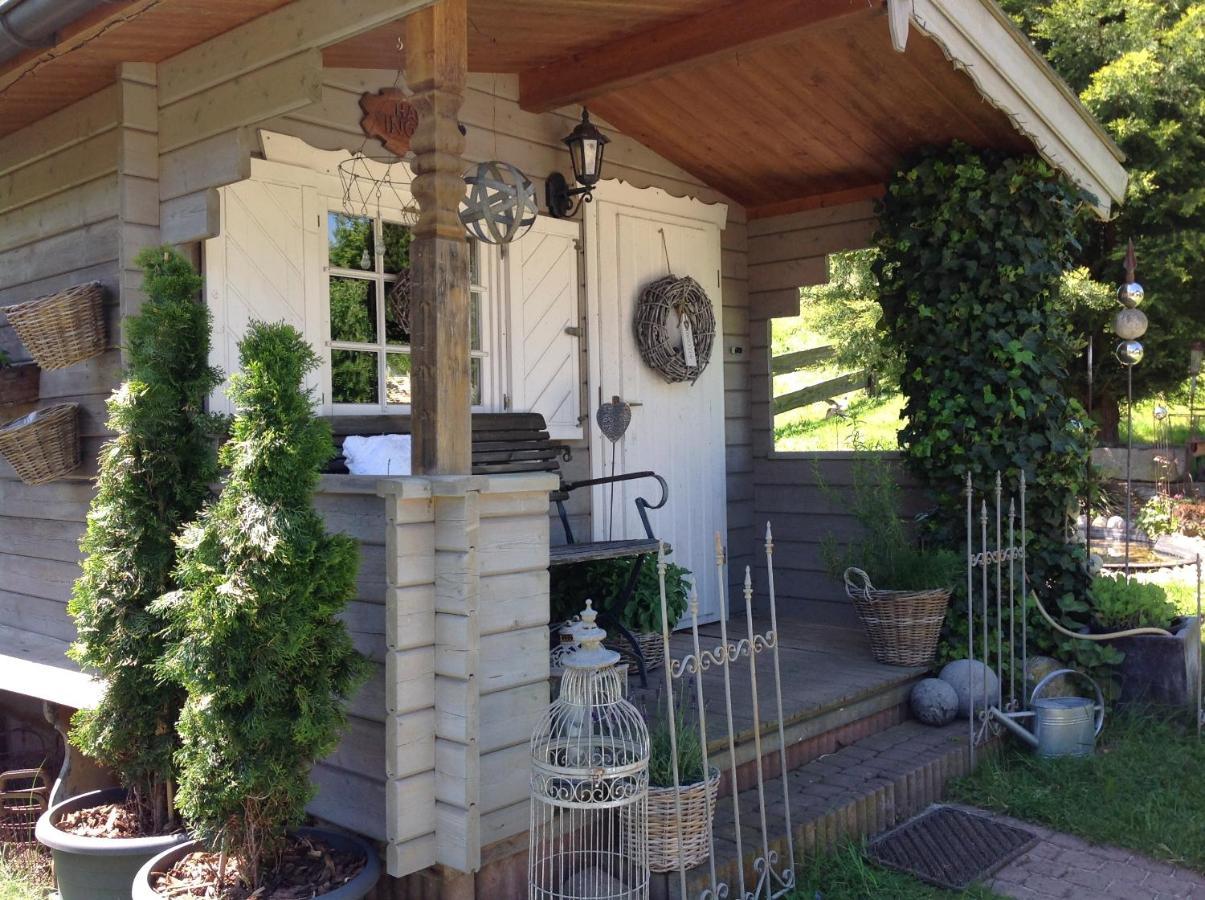 Ferienwohnung Casa Natura Reichelsheim المظهر الخارجي الصورة