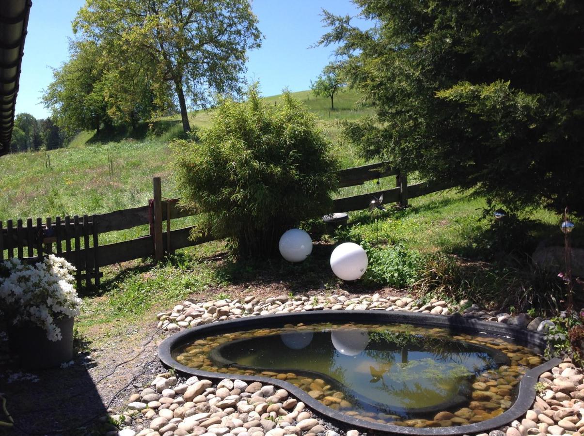 Ferienwohnung Casa Natura Reichelsheim المظهر الخارجي الصورة